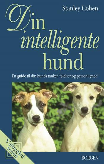 Din intelligente hund