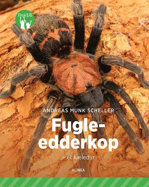 Fugle-edderkop - et kæledyr, Grøn Fagklub