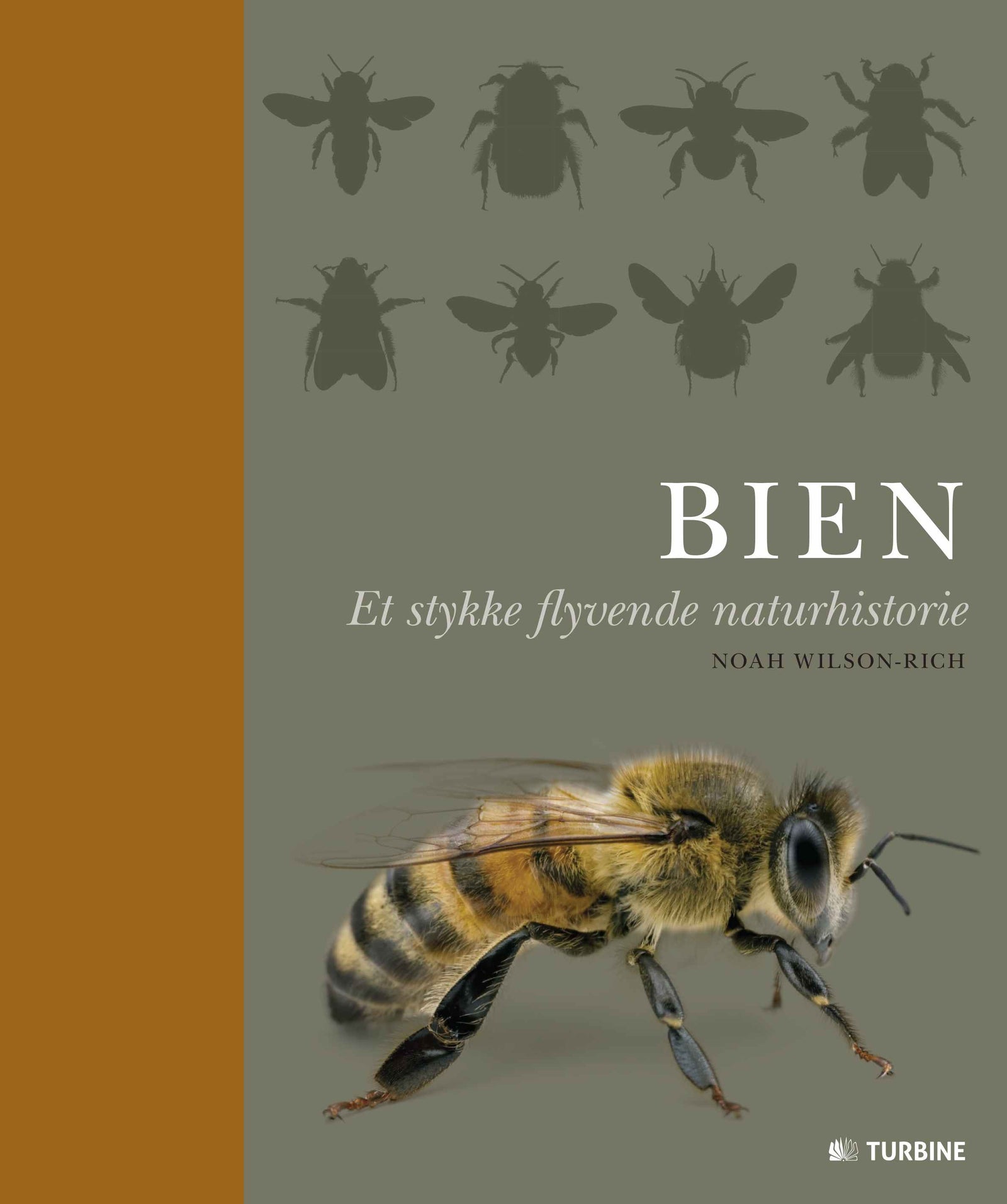 Bien