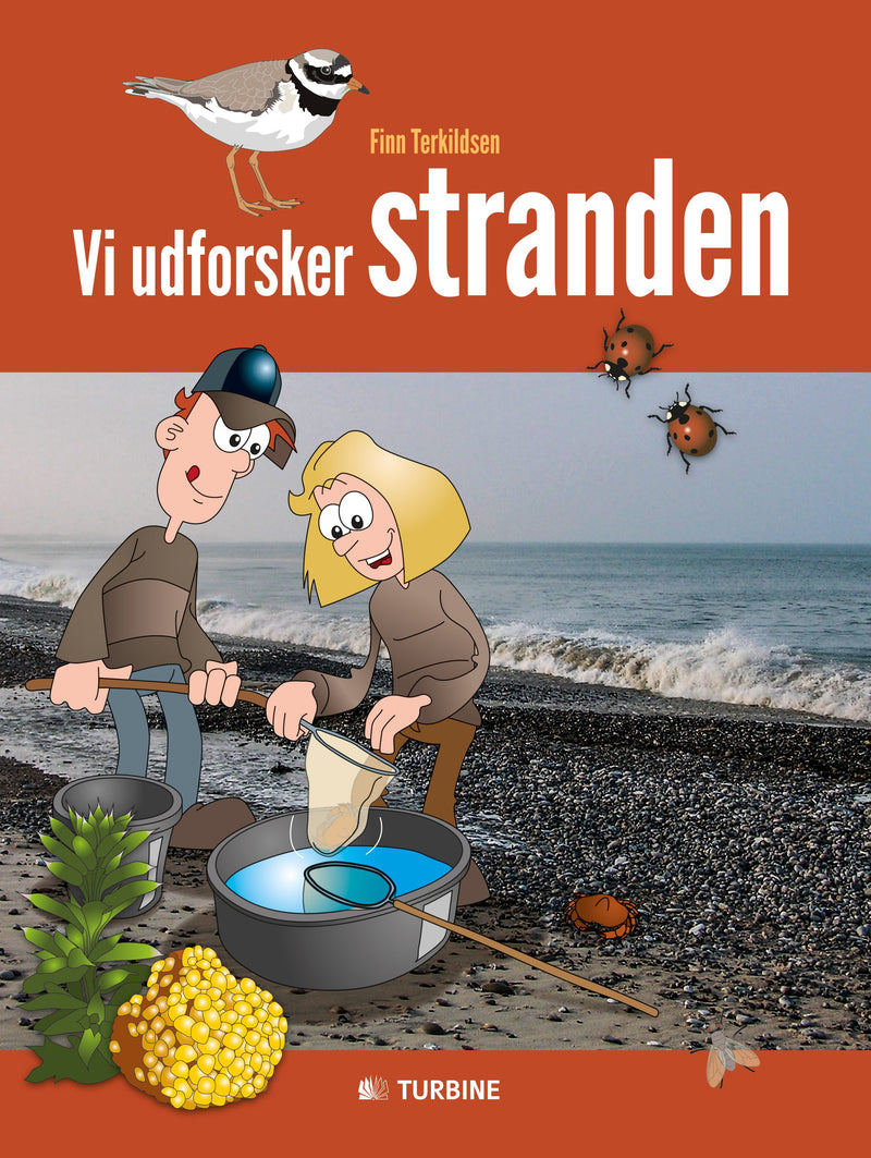 Vi udforsker stranden