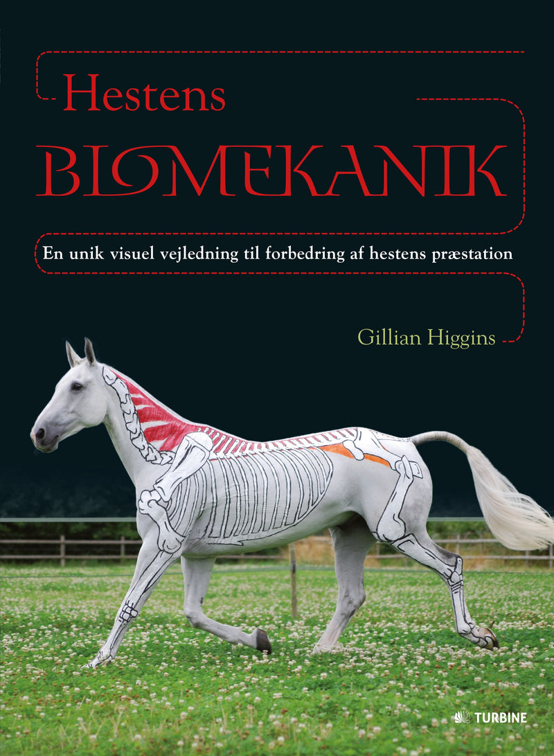 Hestens Biomekanik