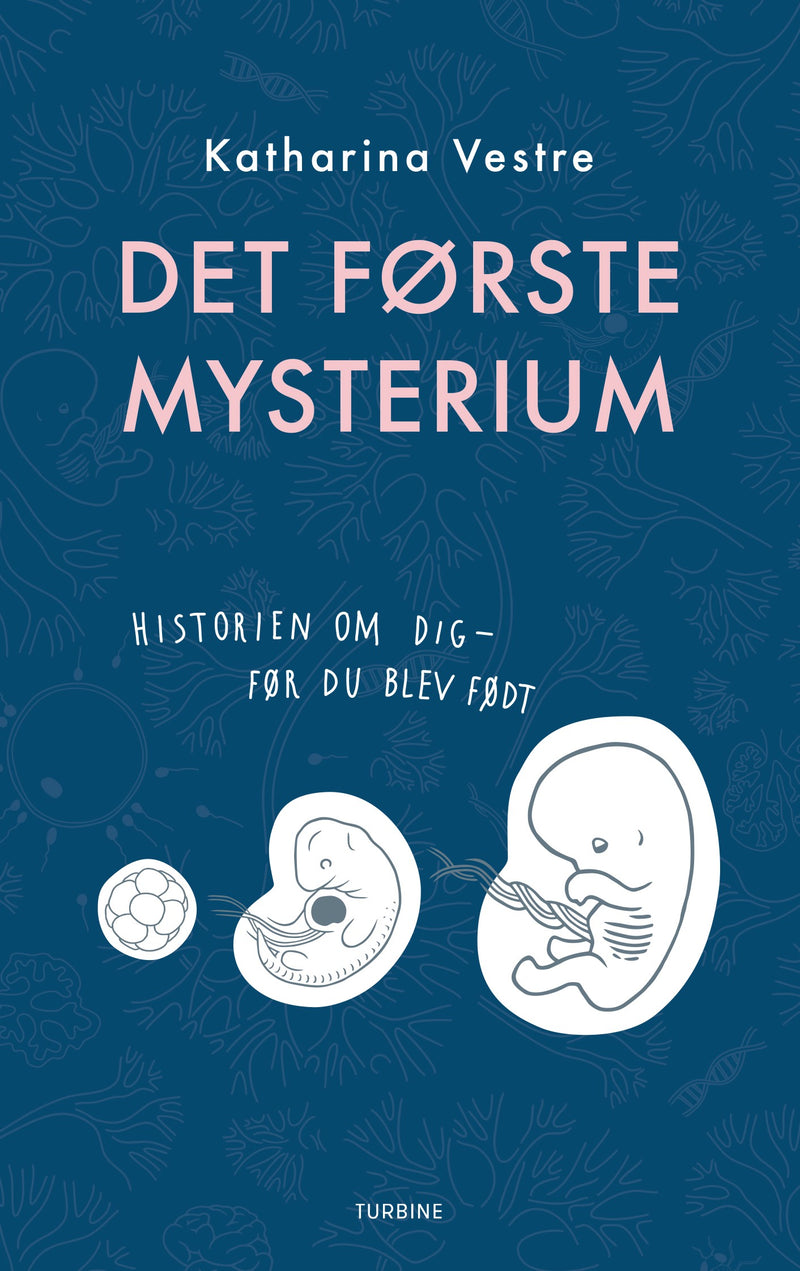 Det første mysterium