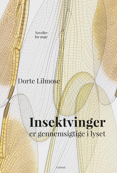 Insektvinger er gennemsigtige i lyset