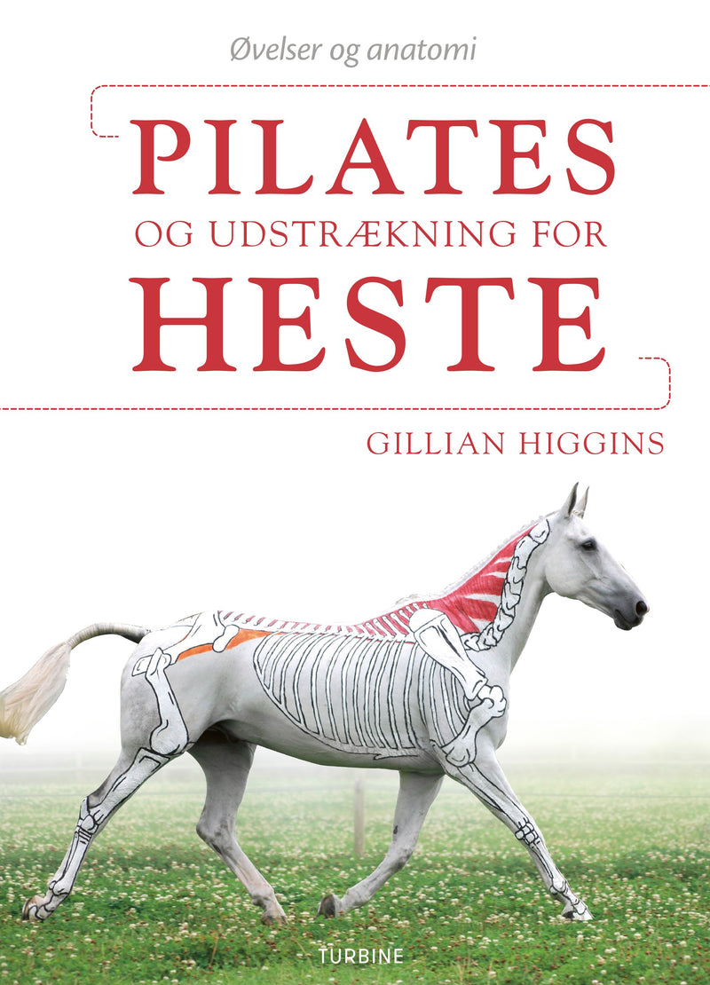 Pilates og udstrækning for heste