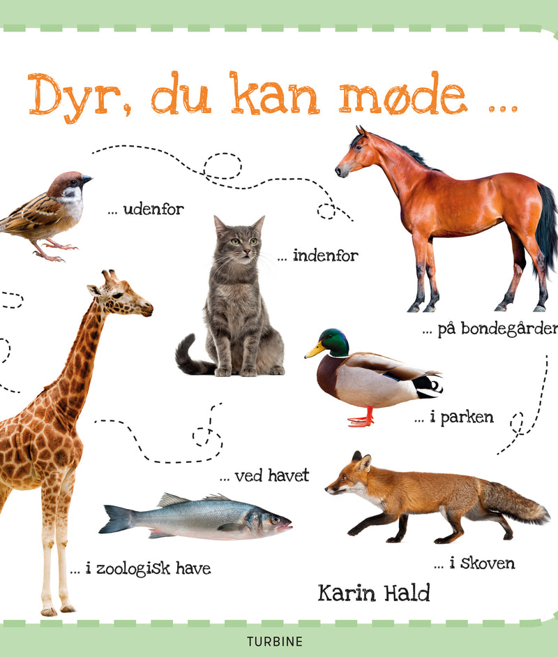 Dyr, du kan møde