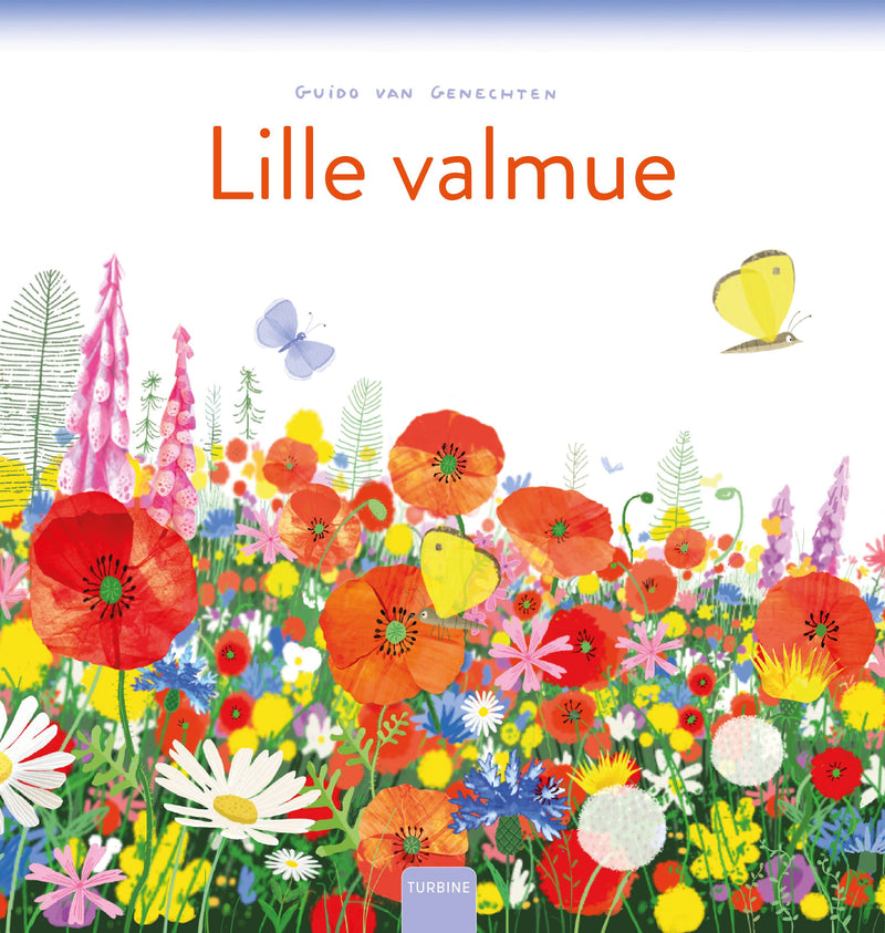 Lille valmue