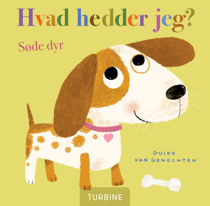 Hvad hedder jeg? Søde dyr