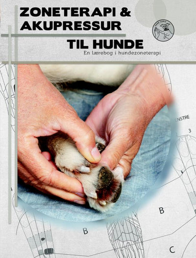Zoneterapi og akupressur til hunde