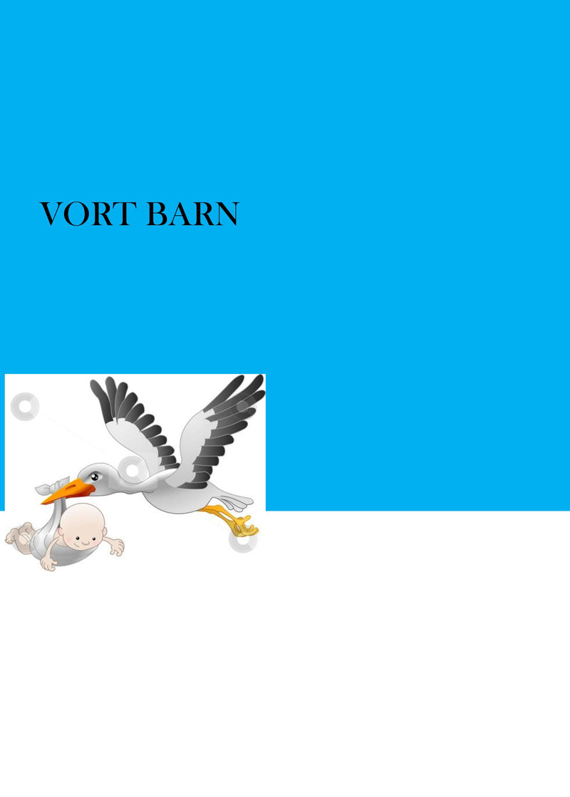 VORT BARN - DRENG