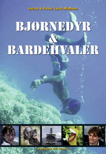 Bjørnedyr &amp; bardehvaler