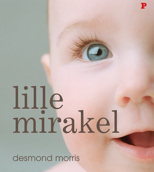 Lille Mirakel