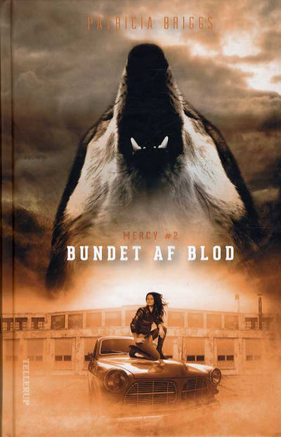 Mercy #2: Bundet af blod