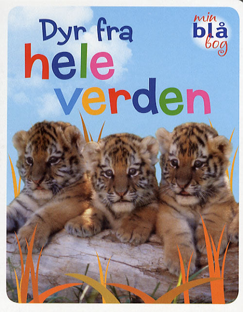 Dyr fra hele verden