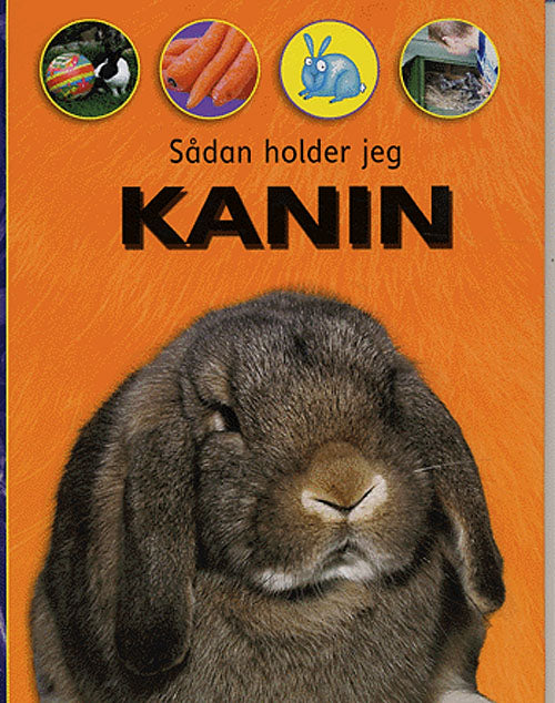 Sådan holder jeg kanin