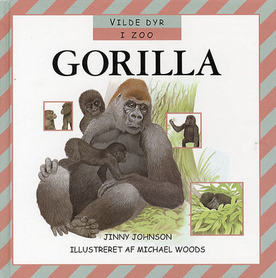 Gorilla