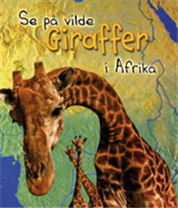 Se på vilde giraffer i Afrika