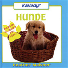 Hunde