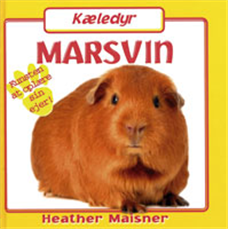 Marsvin