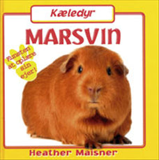 Marsvin