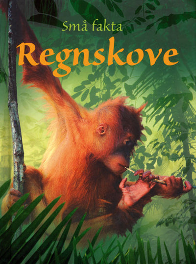 Små fakta: Regnskove