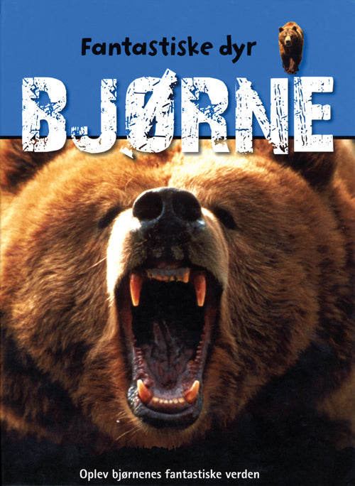 Bjørne