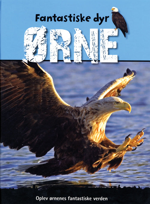 Ørne