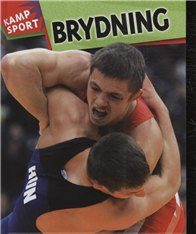 Brydning