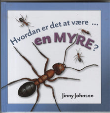 Hvordan er det at være en myre?