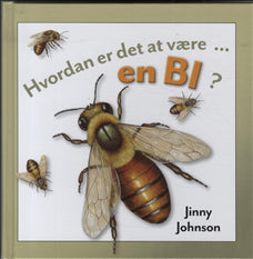 Hvordan er det at være en bi?