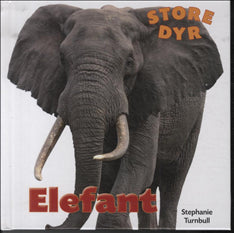 Elefant