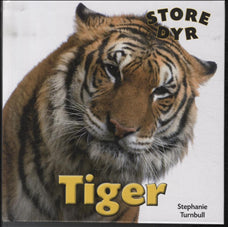 STORE DYR: Tiger