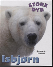 STORE DYR: Isbjørn