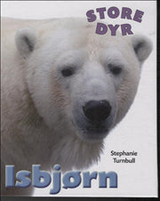 STORE DYR: Isbjørn