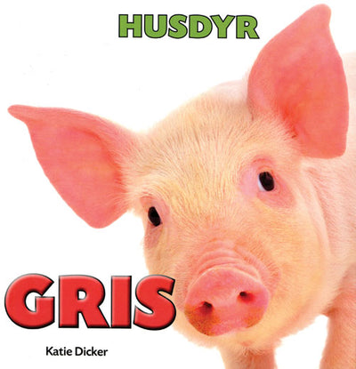 HUSDYR: Gris