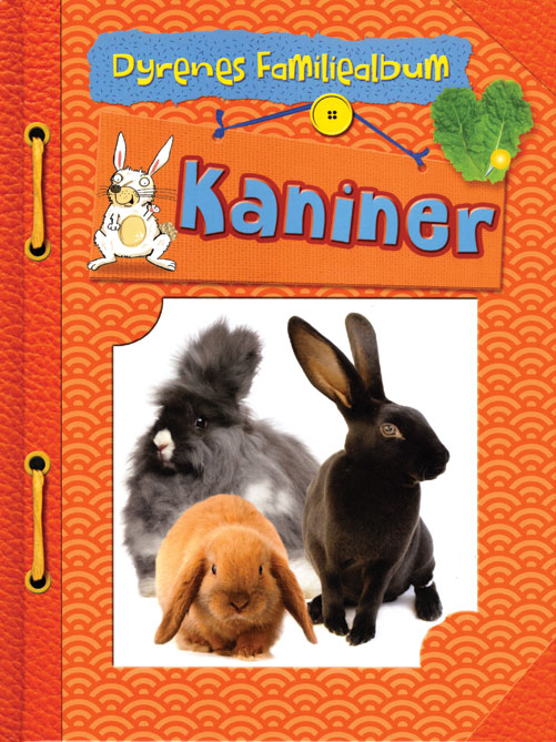 Kaniner