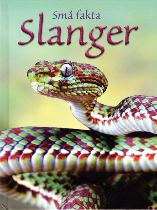 Slanger