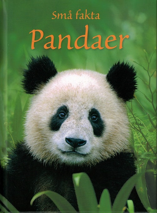 Små fakta: Pandaer