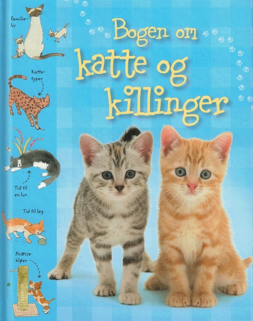 Bogen om katte og killinger