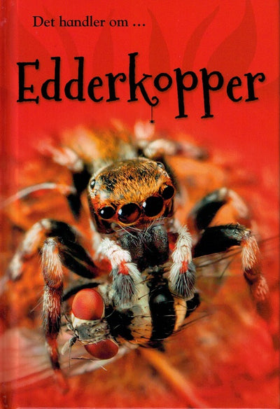 Edderkopper