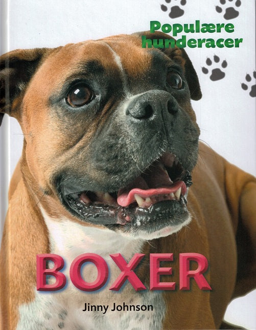 POPULÆRE HUNDERACER: Boxer