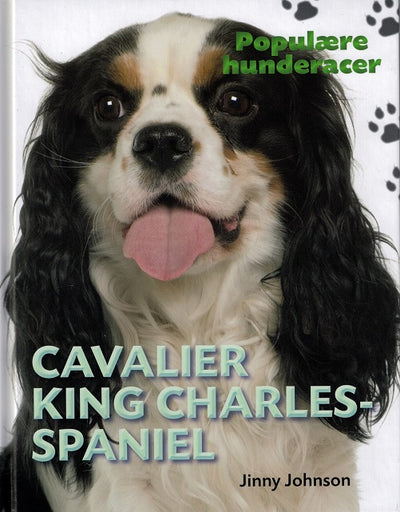 POPULÆRE HUNDERACER: Cavalier King Charles Spaniel