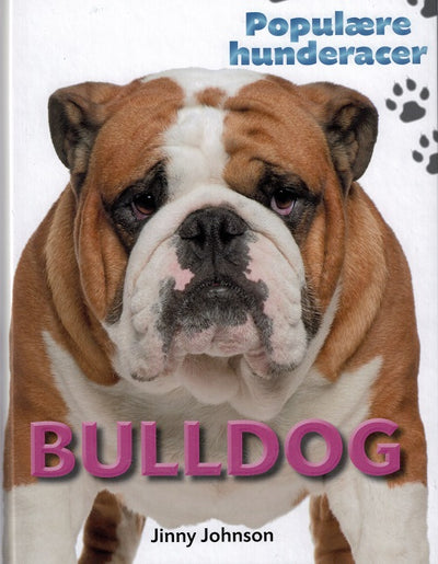 POPULÆRE HUNDERACER: Bulldog