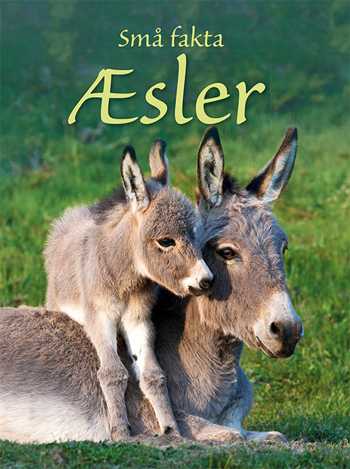 Små Fakta: Æsler