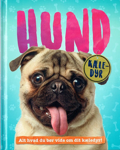 Kæledyr: Hund