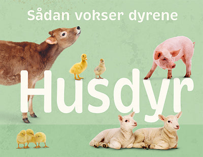 Sådan vokser dyrene: Husdyr