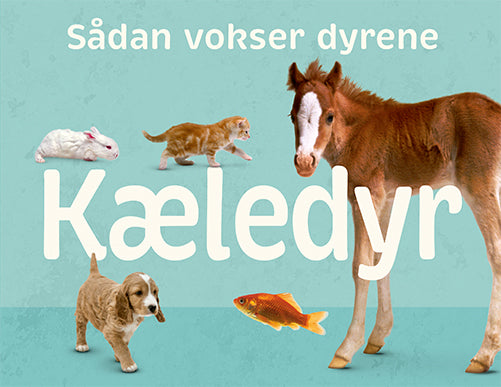 Sådan vokser dyrene: Kæledyr