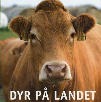 Dyr på landet