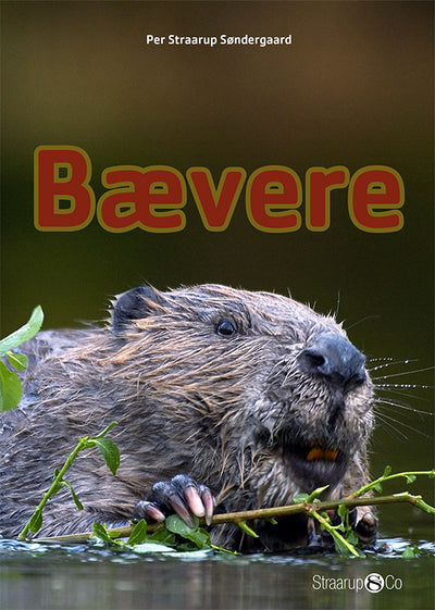 Bævere