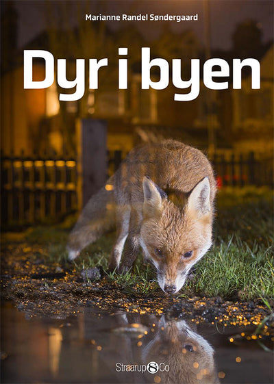 Dyr i byen