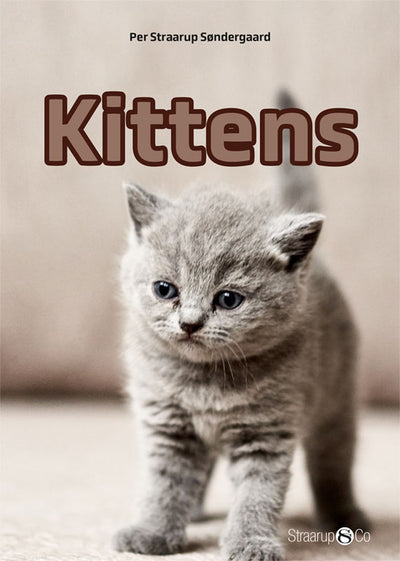 Kittens